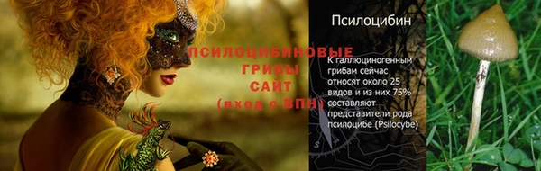 ГАЛЛЮЦИНОГЕННЫЕ ГРИБЫ Балахна