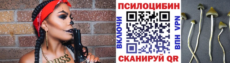 Псилоцибиновые грибы Cubensis Пятигорск