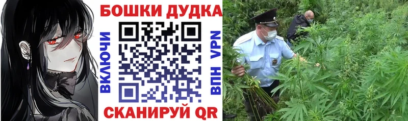 blacksprut онион  Пятигорск  Шишки марихуана SATIVA & INDICA 